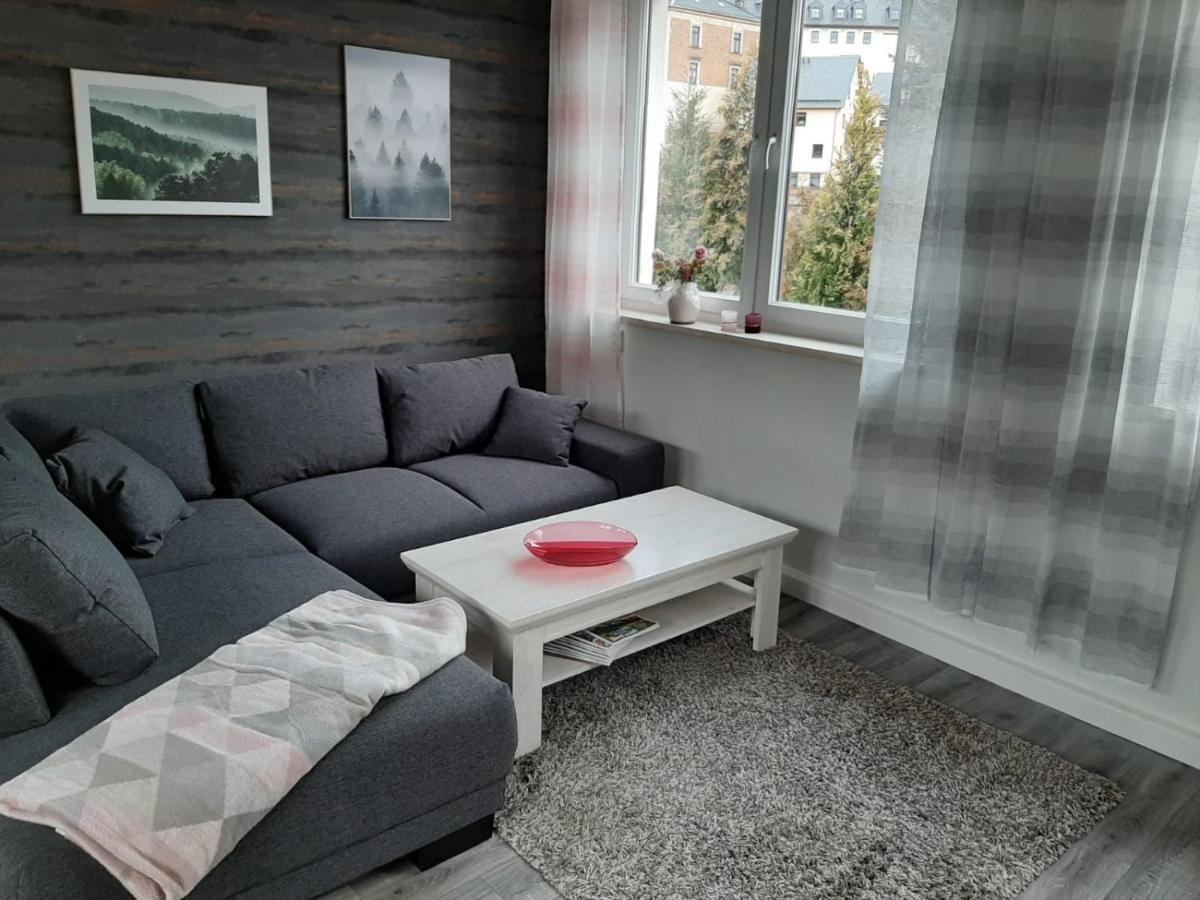 Ferienwohnung Alte Stepperei Schwarzenberg (Saxony) Exterior foto
